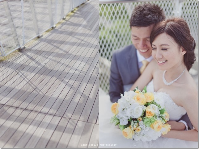 005_Singapore_Henderson Waves Bridge_Pre-wedding_Prewedding