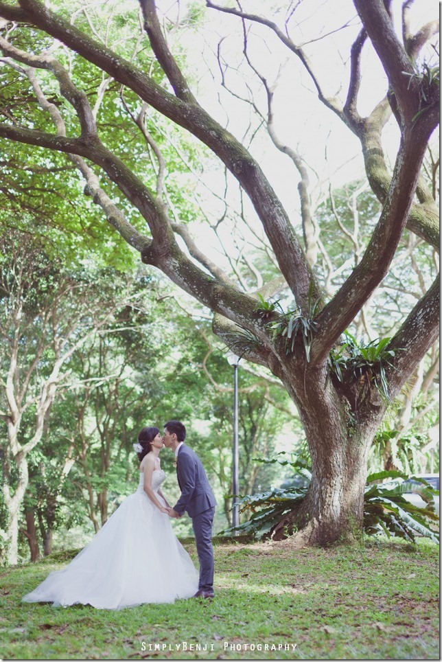 012_Singapore_Telok Blangah Hill Park_Pre-wedding_Prewedding