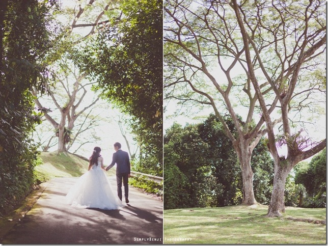 015_Singapore_Telok Blangah Hill Park_Pre-wedding_Prewedding